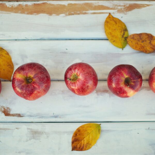 red apples in fall season